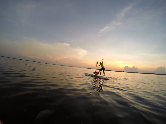 Paddte surf con mascota